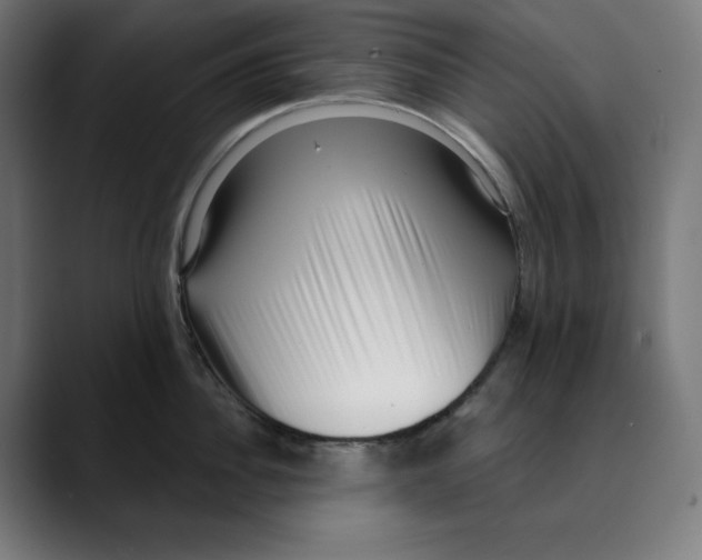 X0000088920956200707061401