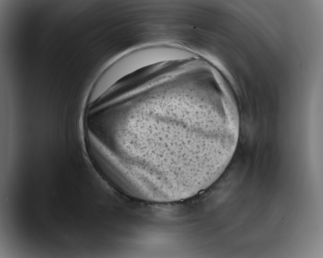 X0000088920959200707061401