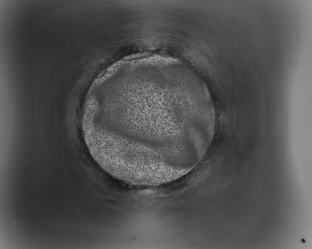 X0000088920961200707061400