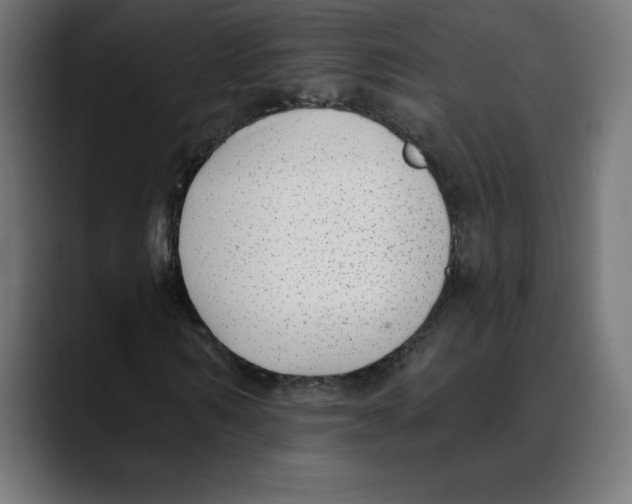 X0000088920962200707061400