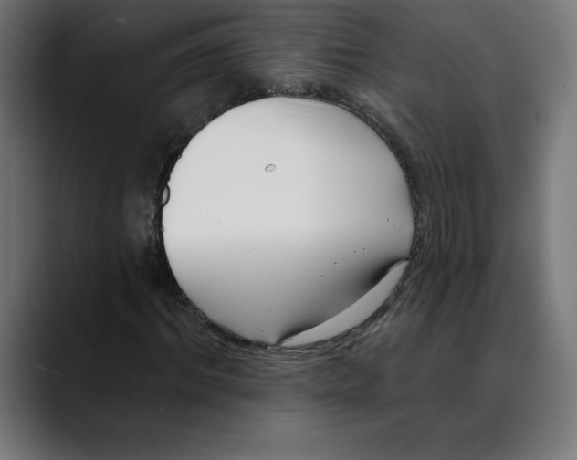 X0000088920964200707061400