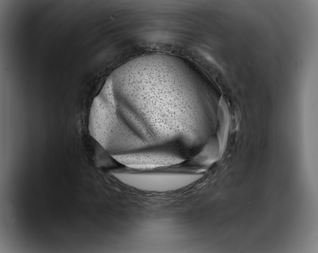 X0000088920965200707061400