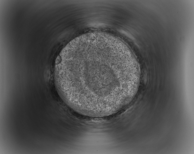 X0000088920966200707061400