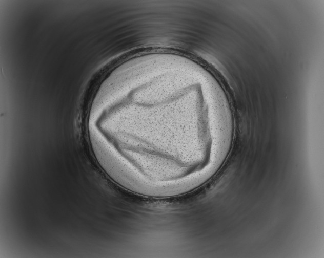 X0000088920971200707061400
