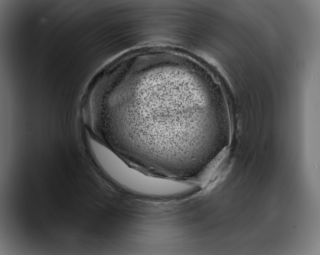 X0000088920973200707061400