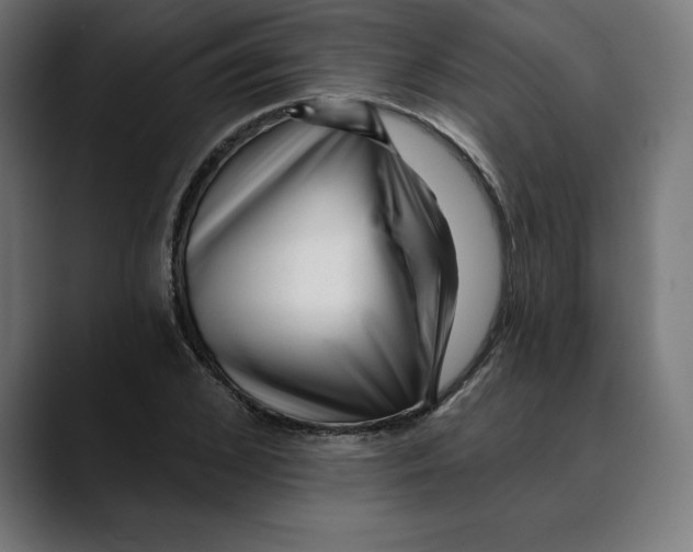X0000088920976200707061400