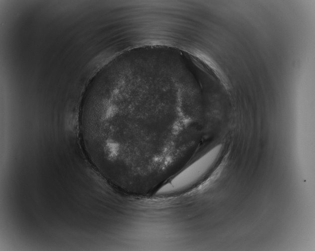 X0000088920977200707061400