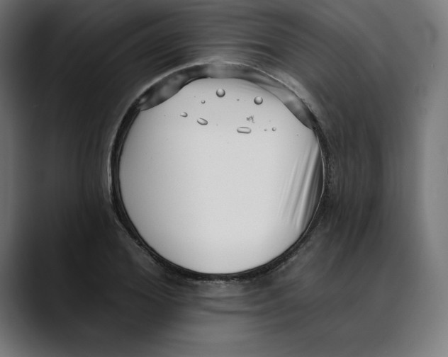 X0000088920980200707061400
