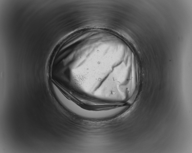 X0000088920981200707061400