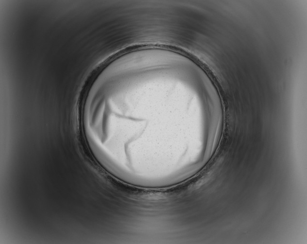 X0000088920982200707061400