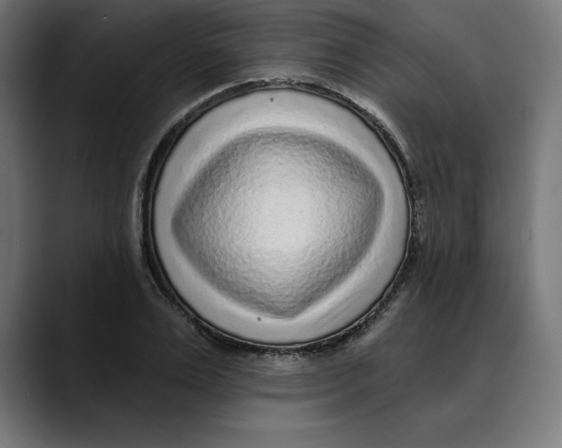 X0000088920983200707061400