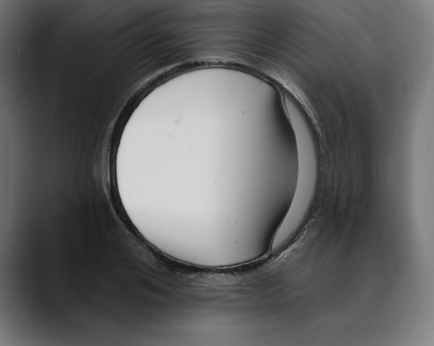 X0000088920984200707061400