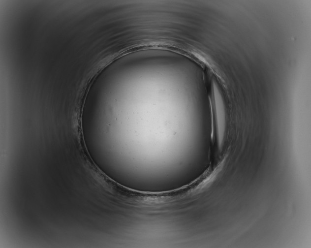 X0000088920985200707061400
