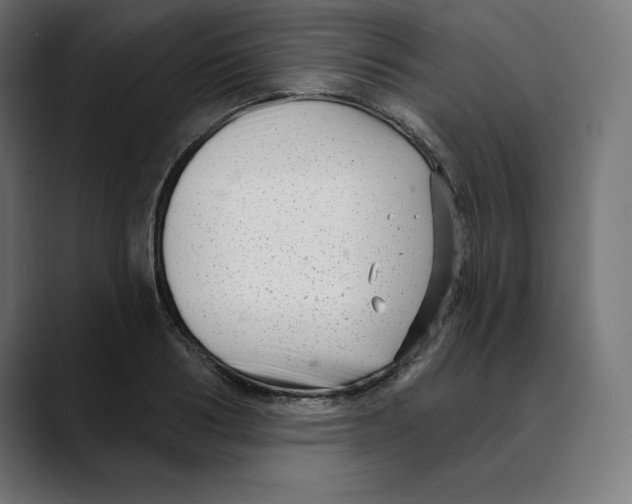 X0000088920986200707061400