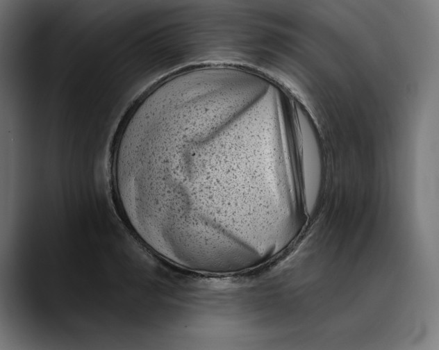 X0000088920990200707061400