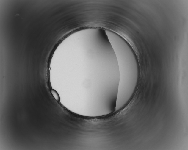 X0000088920992200707061400