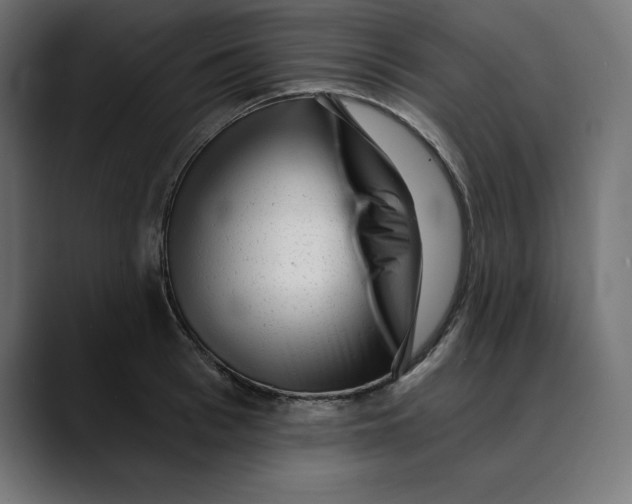 X0000088920993200707061400