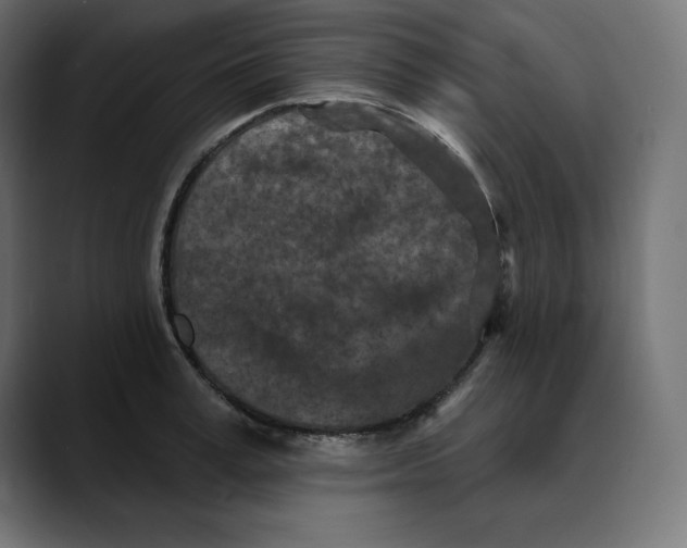 X0000088920995200707061400