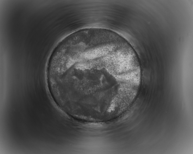 X0000088920998200707061400
