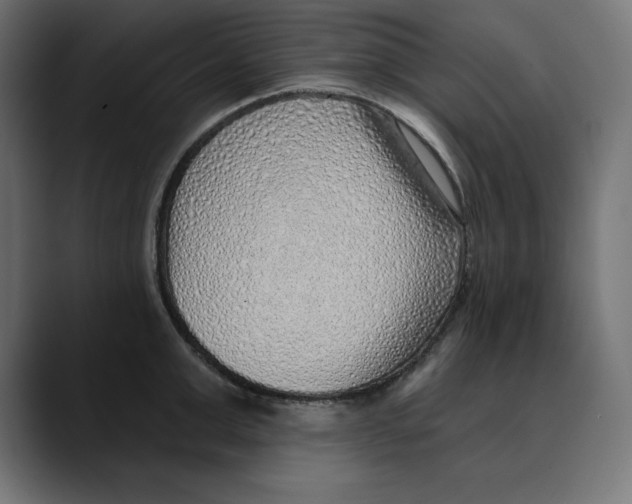 X0000088920999200707061400