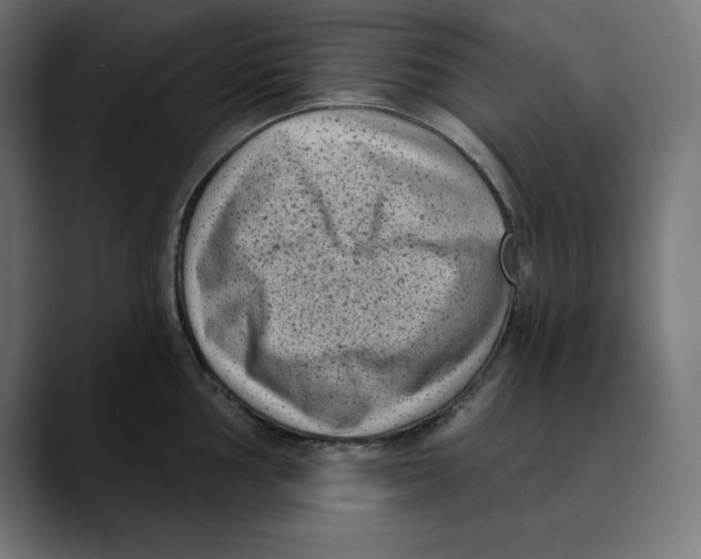 X0000088921002200707061400