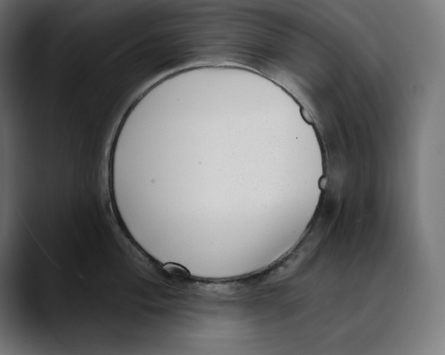 X0000088921004200707061400