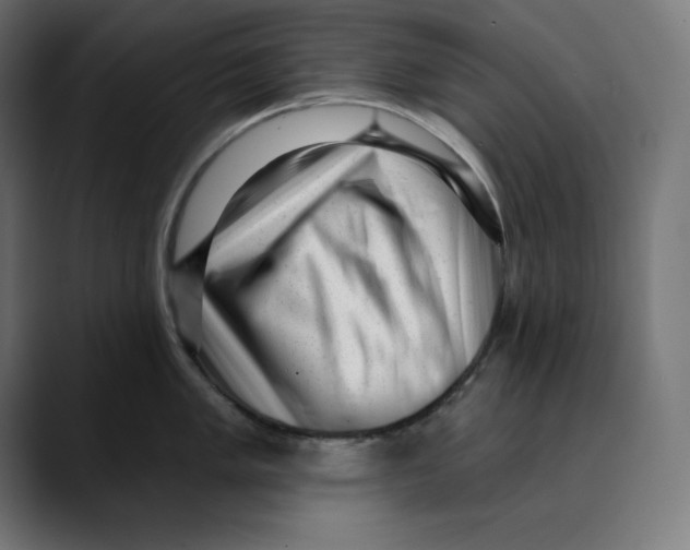 X0000088921005200707061400