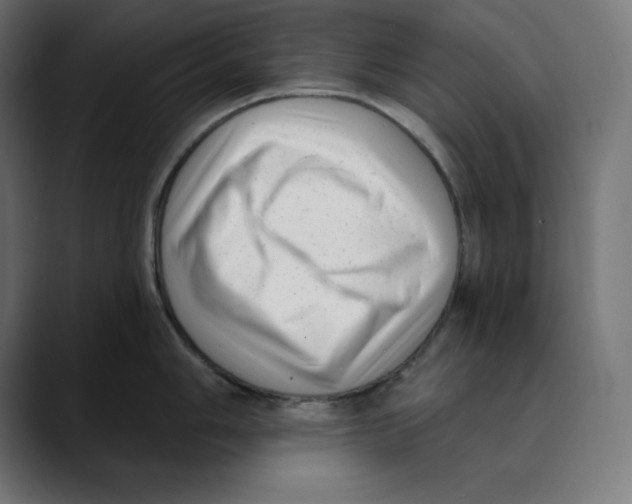 X0000088921006200707061400