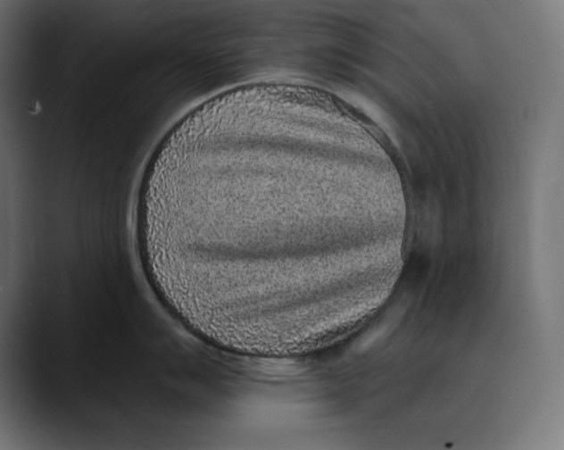 X0000088921007200707061400