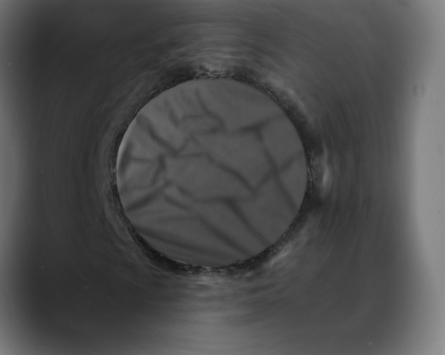 X0000088921009200707061359
