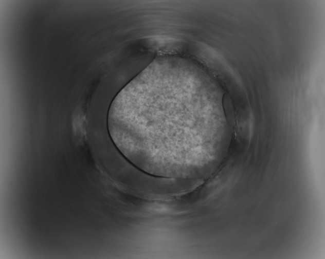 X0000088921010200707061359