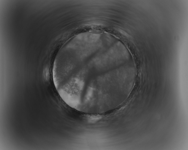 X0000088921014200707061359
