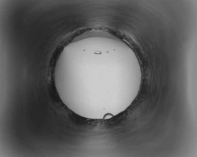X0000088921016200707061359