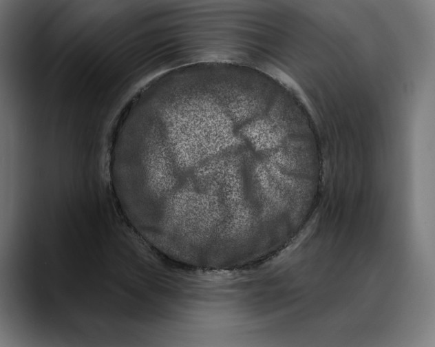 X0000088921019200707061359