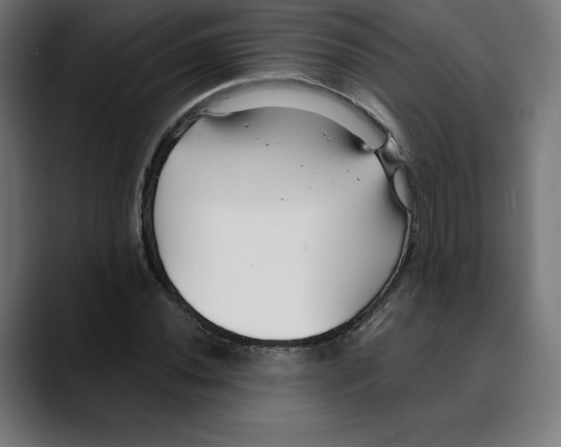 X0000088921020200707061359
