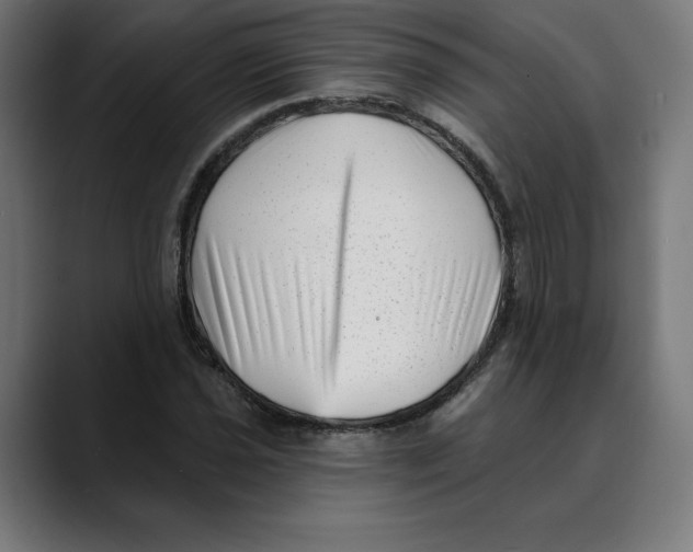 X0000088921021200707061359
