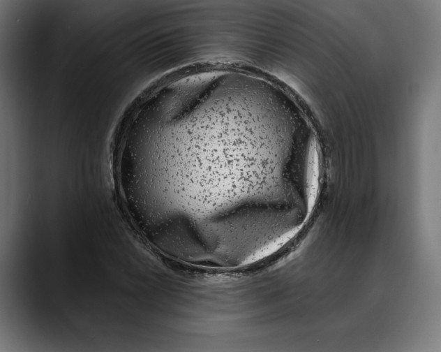 X0000088921022200707061359