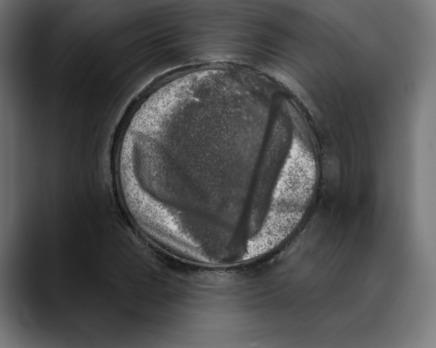X0000088921023200707061359