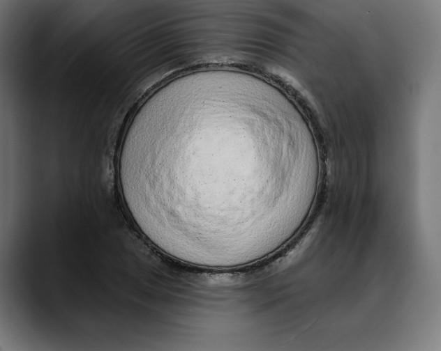 X0000088921025200707061359