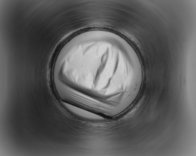 X0000088921029200707061359