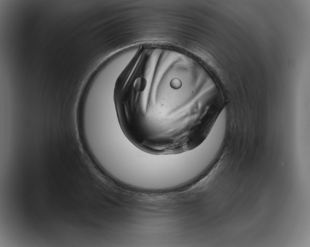 X0000088921030200707061359