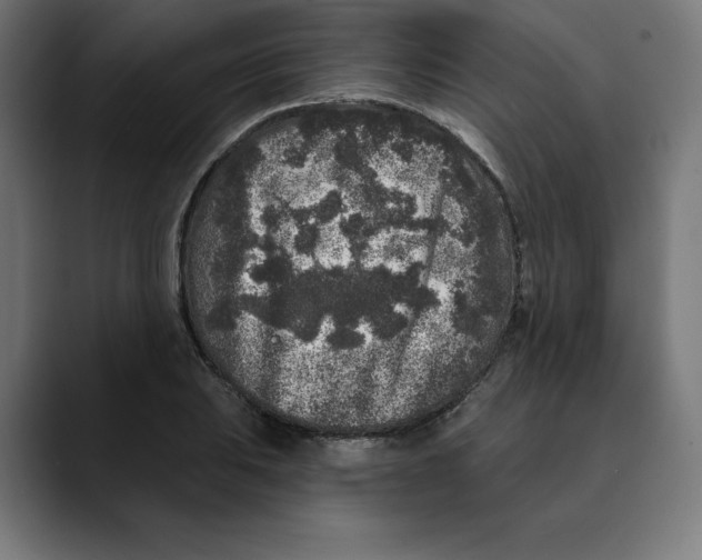 X0000088921031200707061359