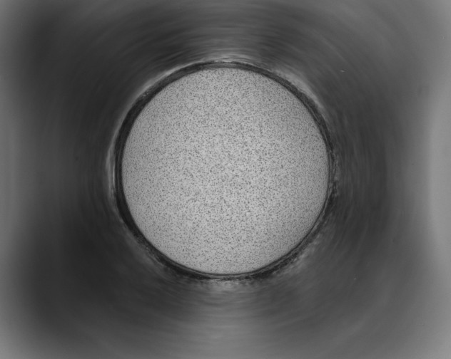 X0000088921032200707061359