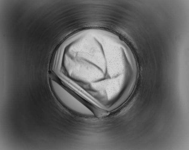 X0000088921033200707061359
