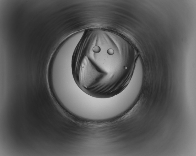 X0000088921034200707061359