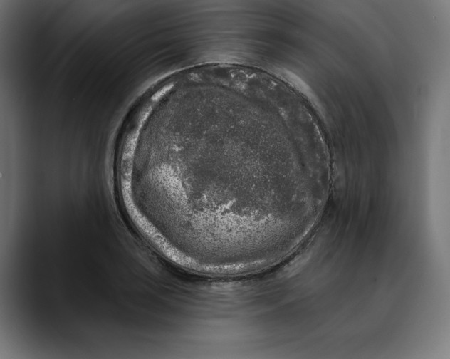 X0000088921035200707061359