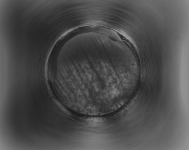 X0000088921037200707061400