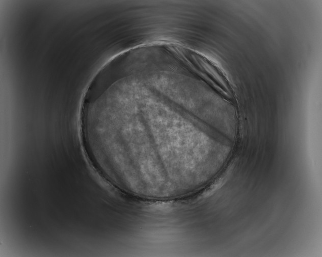X0000088921038200707061400