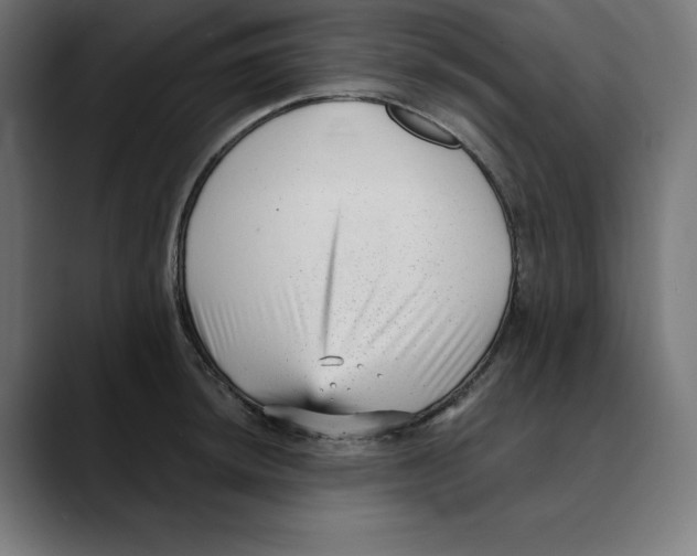 X0000088921044200707061400
