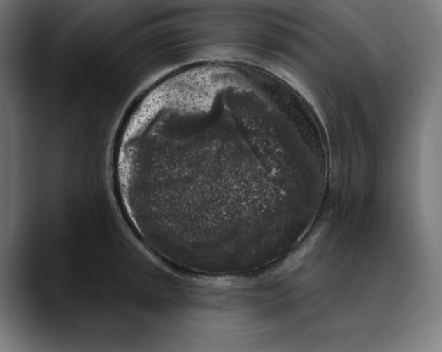 X0000088921045200707061400